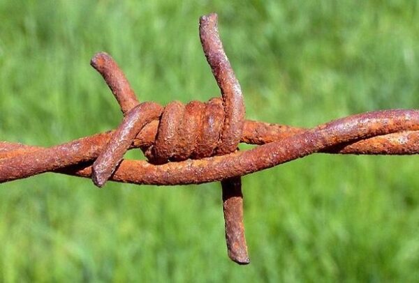 Δεν θα πιστέψεις με ποιό υλικό… απαλλάσσεσαι οριστικά από τη ΣΚΟΥΡΙΑ!