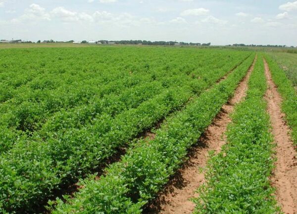 Προγράμματα για αγρότες που θα προκηρυχθούν το 2016