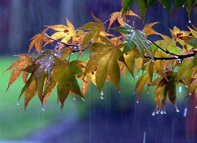 Τί σημαίνει η λέξη Νοέμβριος;