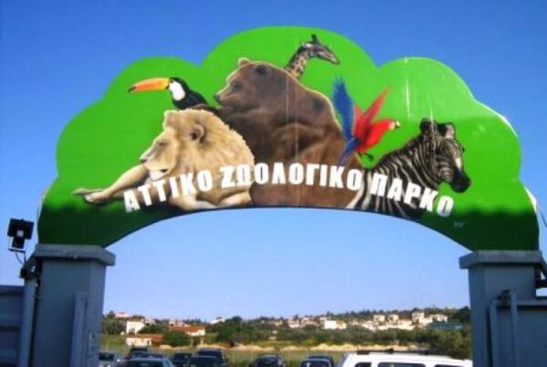 Η απάντηση του Αττικού Πάρκου στο Υπουργείο Παιδείας για τις εκδρομές