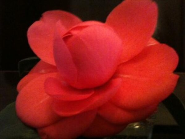 Ό,τι δίνεις στη ζωή, πάντα σου επιστρέφει – Διδακτική ιστορία