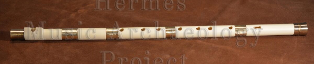 ΕΚΠΑΙΔΕΥΣΗ ΣΤΗΝ ΑΝΑΚΑΤΑΣΚΕΥΗ ΚΑΙ ΧΡΗΣΗ ΑΡΧΑΙΩΝ ΕΛΛΗΝΙΚΩΝ ΜΟΥΣΙΚΩΝ ΟΡΓΑΝΩΝ