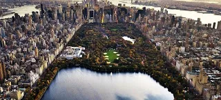 Ψάρι βγαλμένο από ταινία τρόμου!!! Aναπνέει οξυγόνο και έρπει εκτός νερού (VIDEO)