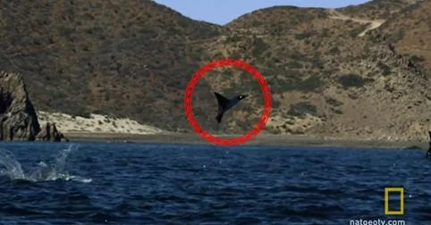 Στην αρχή νομίζαμε ότι ήταν ένα πουλί αλλά τελικά δεν ήταν!! Τι ήτανόμως ;