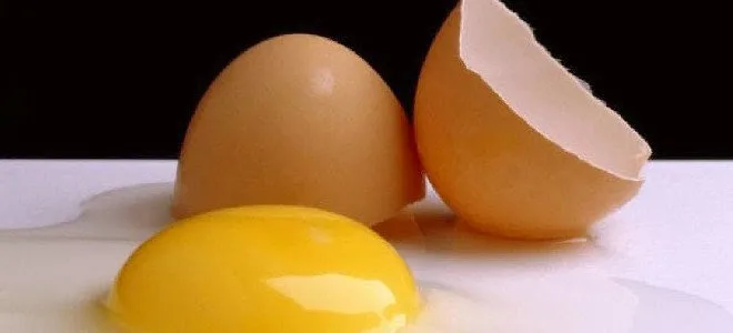 Ο πιο απλός και γρήγορος τρόπος να χωρίζετε τον κρόκο του αβγού από το ασπράδι!(video)