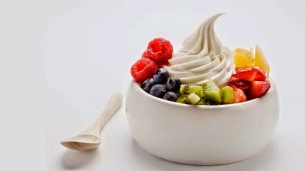 Είναι υγιεινό το παγωμένο γιαούρτι;
