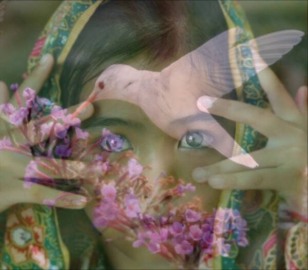 ΑΓΩΝΙΣΤΙΚΗ ΑΝΕΞΑΡΤΗΤΗ ΠΑΡΕΜΒΑΣΗ ΕΒΡΟΥ: ΕΚΛΟΓΕΣ ΠΥΣΔΕ ΔΙΑΚΗΡΥΞΗ -ΥΠΟΨΗΦΙΟΙ