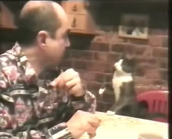 Έξυπνη γάτα χρησιμοποιεί την νοηματική γλώσσα για να επικοινωνήσει με τον κωφό ιδιοκτήτη της!