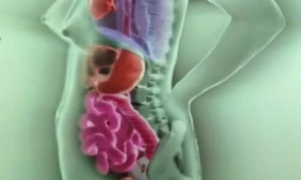 Δείτε πώς μετακινούνται τα εσωτερικά όργανα μιας γυναίκας κατά τη διάρκεια της εγκυμοσύνης! (βίντεο)