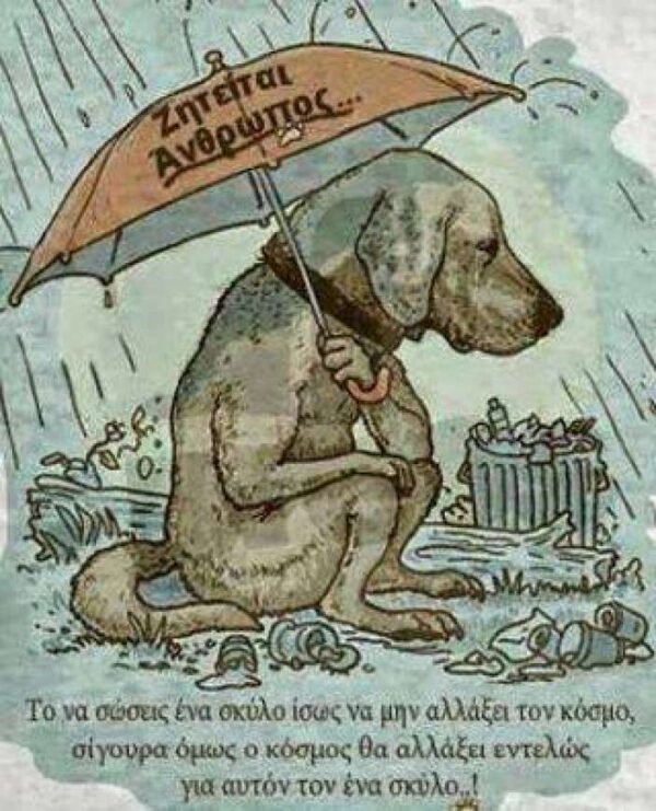 Ιερέας που δεν ξεχνά τα αδέσποτα ζητά τα αποφάγια μας