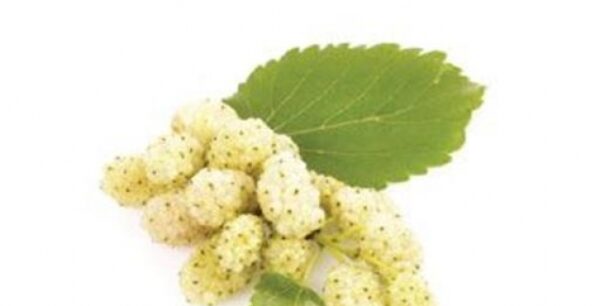 Σίγουρα αγνοείτε, ότι αυτή η τροφή θεραπεύει από διαβήτη μέχρι όγκους