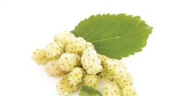 Σίγουρα αγνοείτε, ότι αυτή η τροφή θεραπεύει από διαβήτη μέχρι όγκους