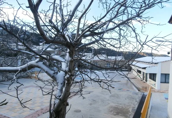 Ποιά σχολεία έκλεισαν λόγω κακοκαιρίας