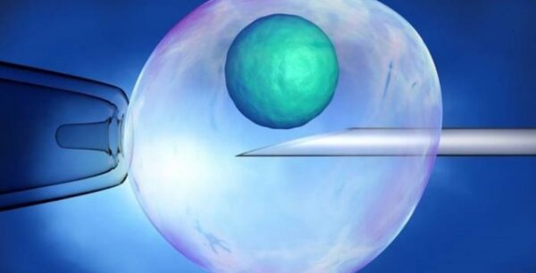 Νέα έρευνα: Η ασπιρίνη αυξάνει σημαντικά τα ποσοστά επιτυχίας στις εξωσωματικές