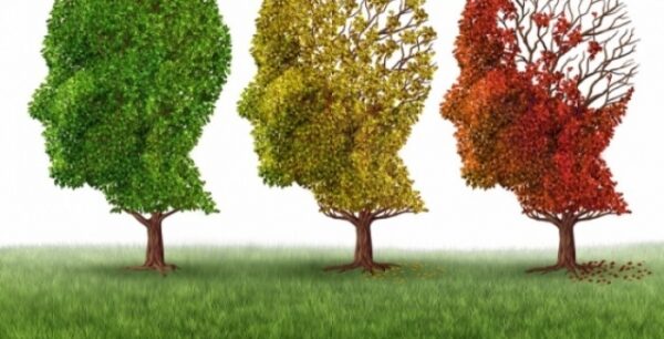 Τι πρέπει να τρώμε για να προστετευτούμε από το Αλτσχάιμερ;