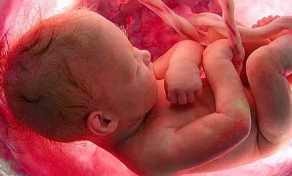 Έχετε αναρωτηθεί τι κάνουν τα μωρά μέσα στην κοιλιά όλη μέρα; Ιδού η απάντηση!