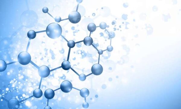 Η θέση της Βιολογίας στην Κατώτερη Δευτεροβάθμια (Γυμνάσιο) μεταξύ των Φυσικών Επιστημών