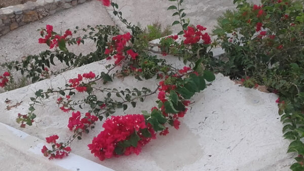 ΠΙΝΑΚΕΣ ΑΝΑΠΛΗΡΩΤΩΝ Δ.Ε. 2016-2017 (ΠΕ05, ΠΕ06, ΠΕ07, ΠΕ08, ΠΕ09, ΠΕ10, ΠΕ11, ΠΕ12, ΠΕ13, ΠΕ14, ΠΕ15, ΠΕ16.01, ΠΕ16.02, ΠΕ17, ΠΕ18, ΠΕ19, ΠΕ20, ΠΕ32, ΠΕ33, ΠΕ34, ΠΕ40, ΤΕ16, ΤΕ01 και ΔΕ01)