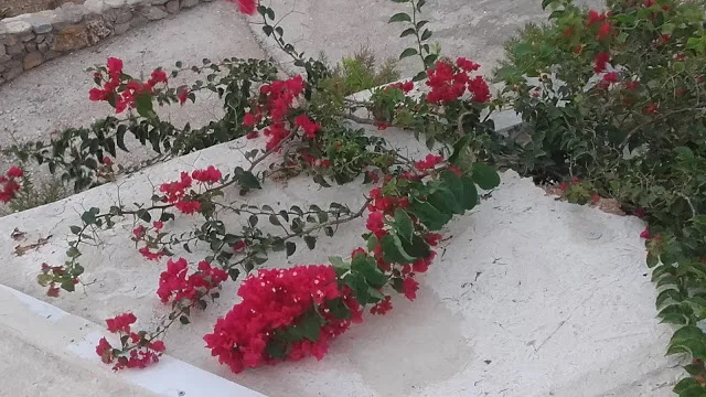 ΠΙΝΑΚΕΣ ΑΝΑΠΛΗΡΩΤΩΝ Δ.Ε. 2016-2017 (ΠΕ05, ΠΕ06, ΠΕ07, ΠΕ08, ΠΕ09, ΠΕ10, ΠΕ11, ΠΕ12, ΠΕ13, ΠΕ14, ΠΕ15, ΠΕ16.01, ΠΕ16.02, ΠΕ17, ΠΕ18, ΠΕ19, ΠΕ20, ΠΕ32, ΠΕ33, ΠΕ34, ΠΕ40, ΤΕ16, ΤΕ01 και ΔΕ01)