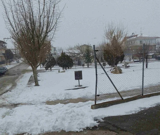 Τα… παιδία παίζει