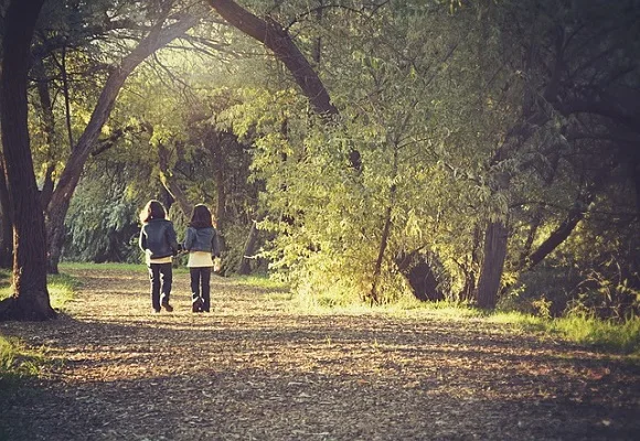 Έγκριση προγραμμάτων και δράσεων  στην Πρωτοβάθμια Εκπαίδευση
