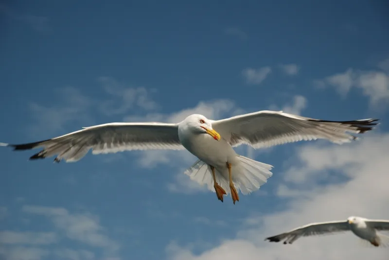 Διεθνής διάκριση για φωτογραφία μαθητή