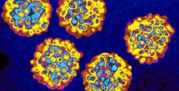 Θεραπεία της οξείας ηπατίτιδας C σε έξι εβδομάδες