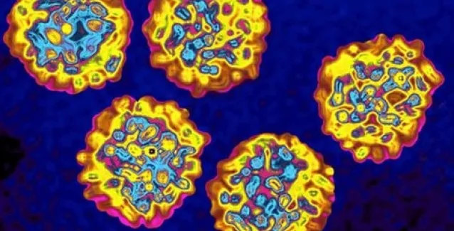 Θεραπεία της οξείας ηπατίτιδας C σε έξι εβδομάδες