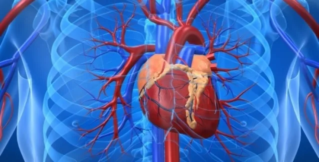 Στεφανιογραφία: Πότε και πώς γίνεται; Είναι επικίνδυνη;