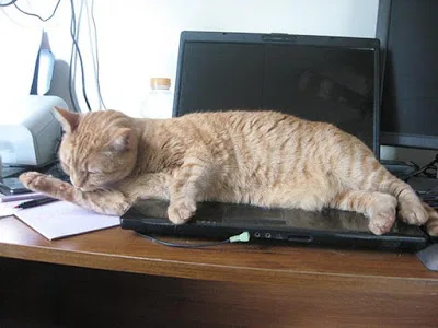 ΙΕΠ: Πρόσκληση σε Νηπιαγωγεία, Δημοτικά, Γυμνάσια να συμμετάσχουν στην πιλοτική εφαρμογή της Περιγραφικής Αξιολόγησης μαθητών