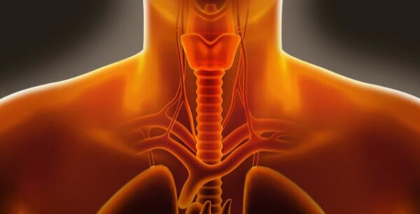 Πως να σταματήσεις τον λόξιγκα!