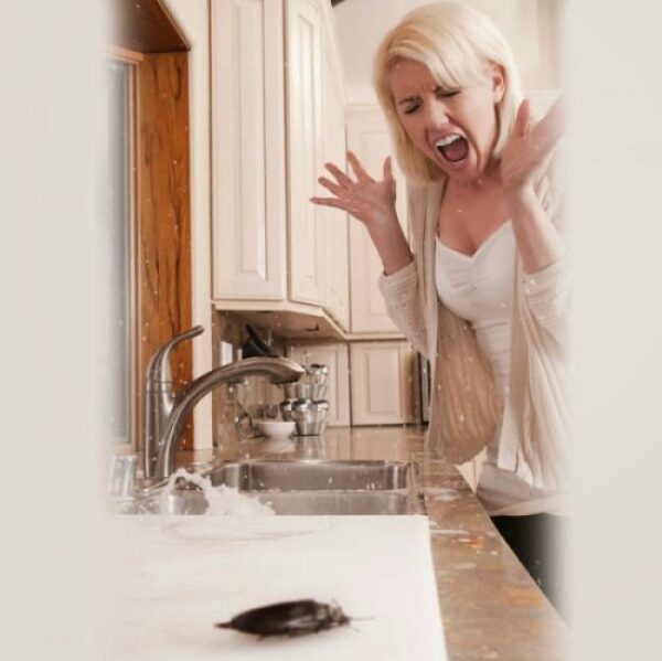 ( Υγιεινή ) Κεφάλαιο κατσαρίδα: Πώς θα εξαφανίσετε για τα καλά τον απόλυτο καλοκαιρινό εχθρό