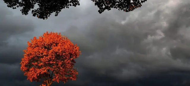 Aγωνιστική Συσπείρωση Έβρου: ΕΝΗΜΕΡΩΤΙΚΟ για τη συνεδρίαση του ΠΥΣΔΕ της 10-10-2016