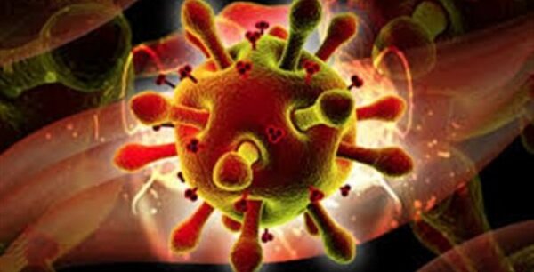 Νέα στοιχεία για το πώς ο HIV μολύνει το γυναικείο αναπαραγωγικό σύστημα