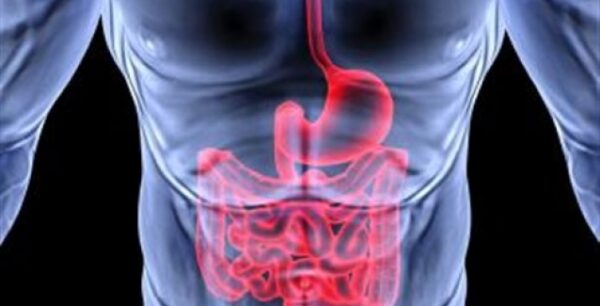 Υπερτροφές για την ομαλή λειτουργία του εντέρου