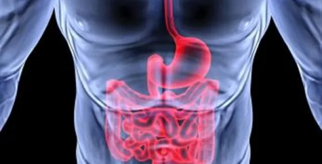 Υπερτροφές για την ομαλή λειτουργία του εντέρου