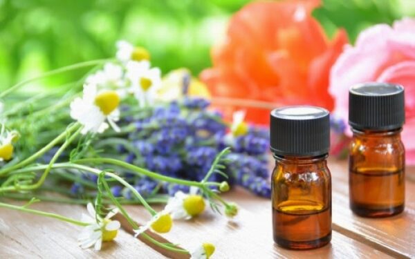 Το top-5 από ιαματικά βότανα που επιβάλλεται να έχετε στο σπίτι