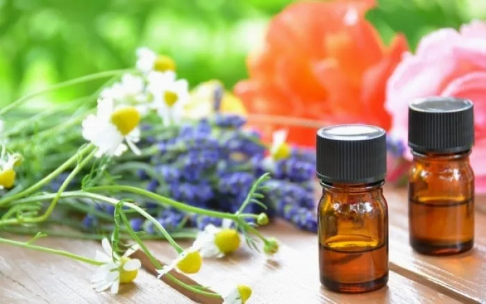 Το top-5 από ιαματικά βότανα που επιβάλλεται να έχετε στο σπίτι