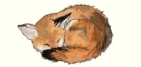 Γεννιέται σε ένα περιβάλλον χωρίς αγάπη.