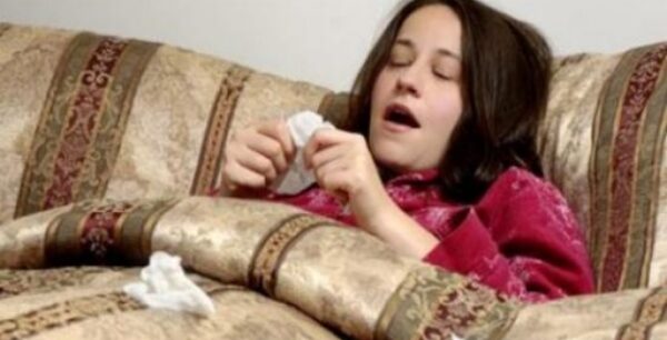 Πλήρης απομυθοποίηση της ωφέλειας της εχινάκειας στην υγεία