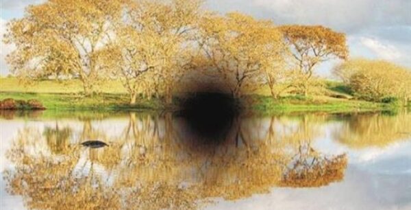 Στατίνες χτυπούν την πάθηση της εκφύλισης ωχράς κηλίδας