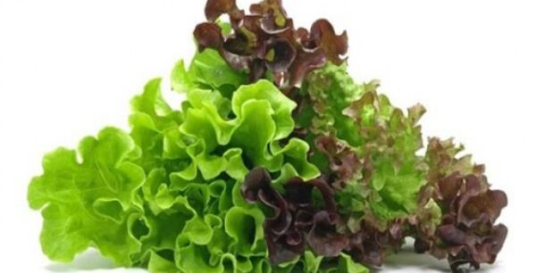 Πράσινη σαλάτα στο ημερήσιο πρόγραμμα χαρίζει υγεία στα μάτια σας