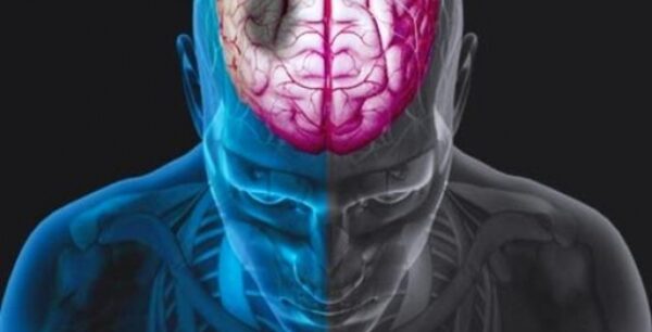 Η πολυγλωσσία ωφελεί πολλαπλά την υγεία του εγκεφάλου