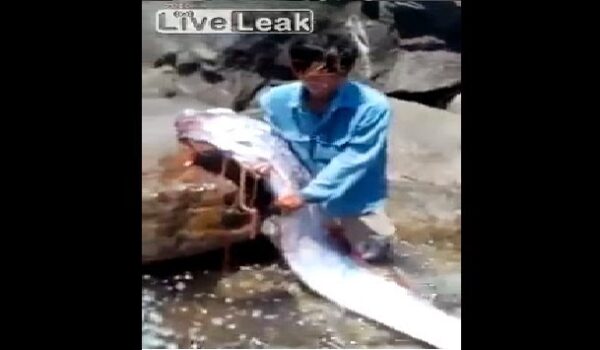 Δείτε τί παράξενο πλάσμα έπιασαν δύο ψαράδες στο Βιετνάμ [βίντεο]