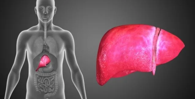 Λιπώδες ήπαρ: Τι είναι και γιατί συνιστά απειλή για την καρδιά