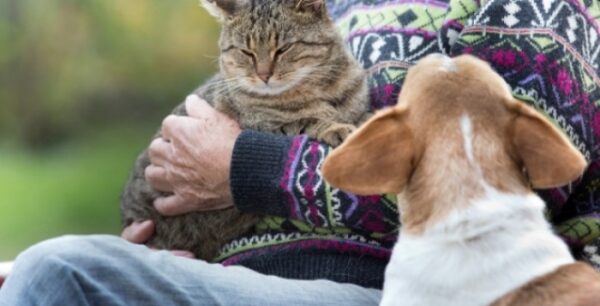Κατοικίδια: Πόσο μειώνουν τον κίνδυνο θανάτου από καρδιαγγειακά