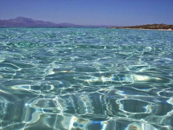 Θα μπορούμε να κολυμπάμε στη θάλασσα σε 100 χρόνια;