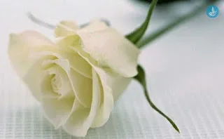 Συλλυπητήριο μήνυμα για την Μπέττυ Λεωτσάκου από τον Σ.Ε.Ε.Π.Ε.Α. ΚΡΗΤΗΣ