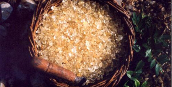 Το ξέρατε ότι η μαστίχα Χίου ρίχνει τη χοληστερίνη;