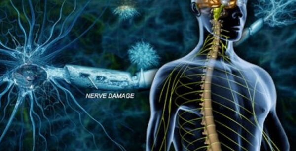 Νέα στοιχεία για τα πιθανά αίτια της σκλήρυνσης κατά πλάκας